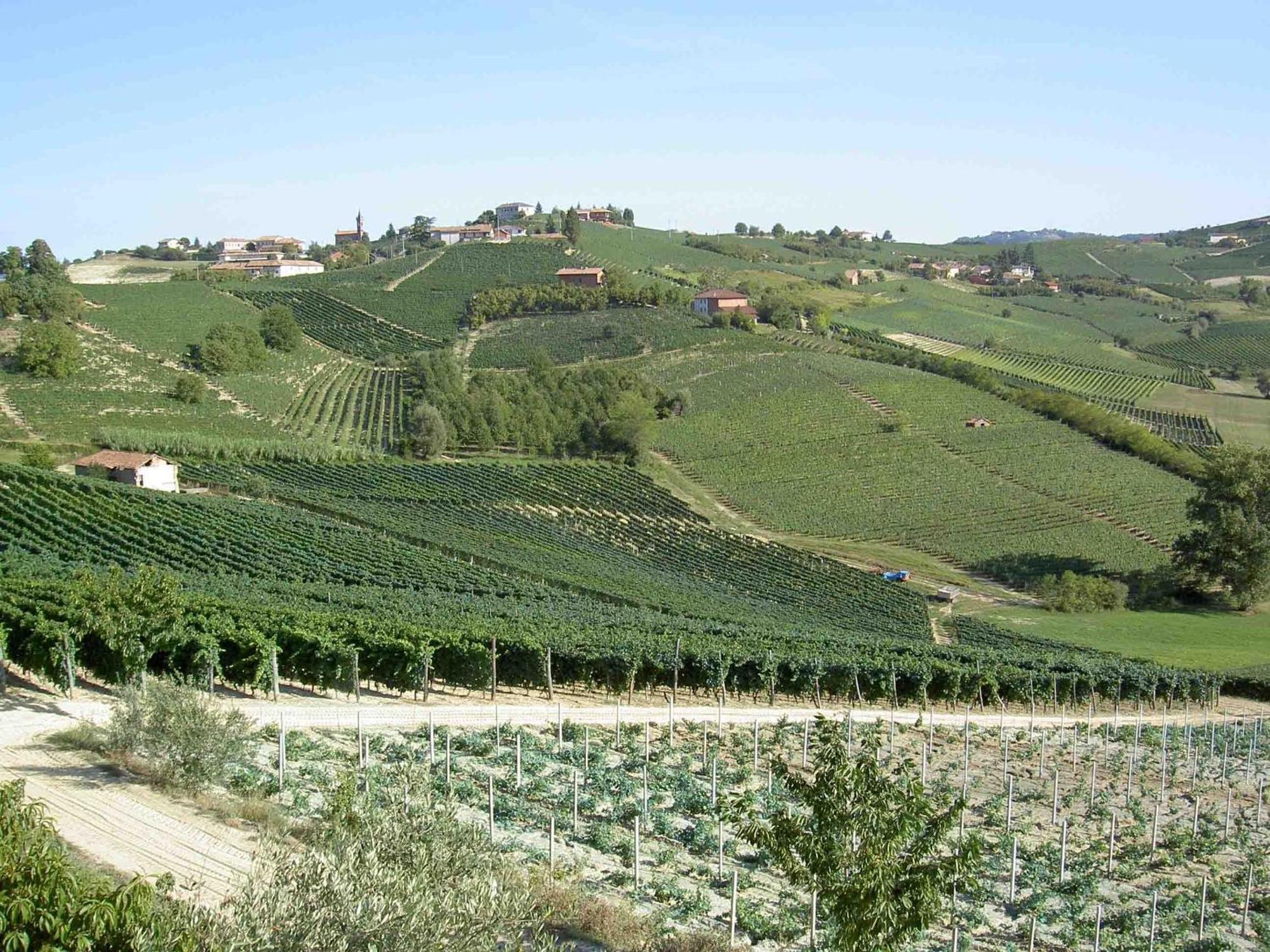Agriturismo Vecchio Torchio Канелли Экстерьер фото